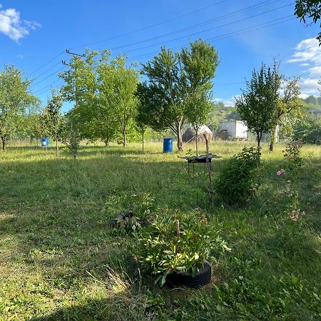 Casa Rafael Hotell Sighetu Marmaţiei Exteriör bild
